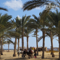 фото из отзыва ID 645634