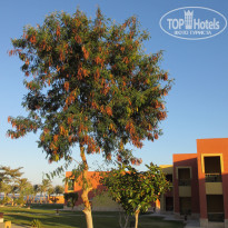 фото из отзыва ID 645634