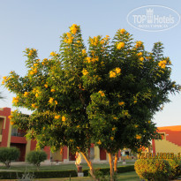 фото из отзыва ID 645634