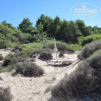 фото из отзыва ID 645862