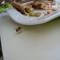 фото из отзыва ID 645862