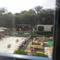 фото из отзыва ID 646120