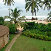 фото из отзыва ID 646182