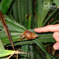 фото из отзыва ID 646182