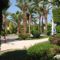 фото из отзыва ID 646232