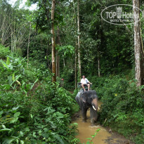 фото из отзыва ID 646601