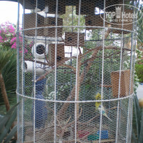 фото из отзыва ID 646706