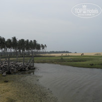 фото из отзыва ID 646857