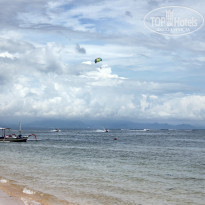 фото из отзыва ID 646870