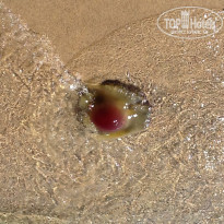 фото из отзыва ID 646805