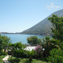 фото из отзыва ID 647097