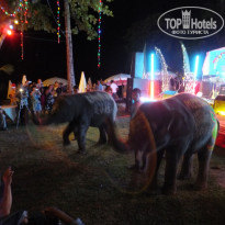 фото из отзыва ID 647130