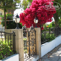 фото из отзыва ID 647146