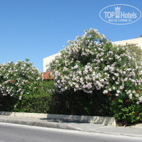 фото из отзыва ID 647146