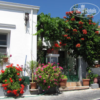 фото из отзыва ID 647146