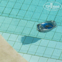 фото из отзыва ID 647298