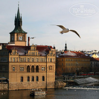 фото из отзыва ID 647379