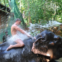 фото из отзыва ID 647832