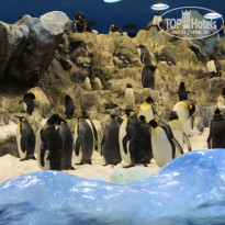 фото из отзыва ID 647129