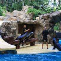 фото из отзыва ID 647129