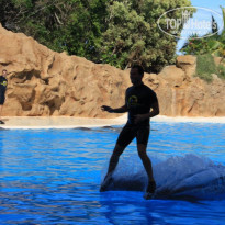 фото из отзыва ID 647129