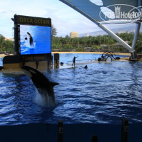 фото из отзыва ID 647129