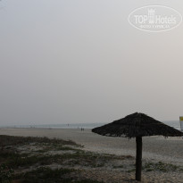 фото из отзыва ID 648206