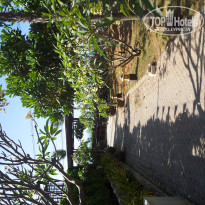 фото из отзыва ID 648260