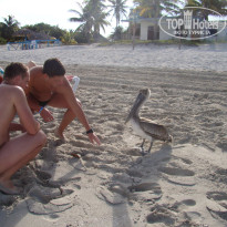 фото из отзыва ID 648257