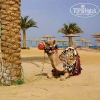 фото из отзыва ID 648410