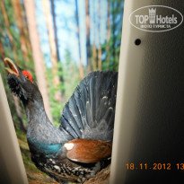 фото из отзыва ID 648476