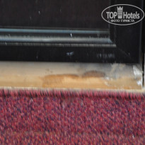 фото из отзыва ID 648510