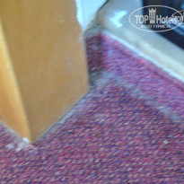 фото из отзыва ID 648510