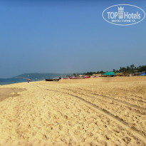 фото из отзыва ID 648555