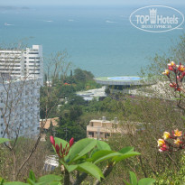 фото из отзыва ID 648571