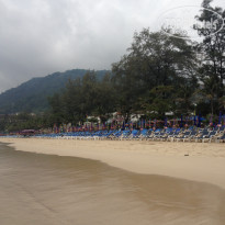 фото из отзыва ID 648654