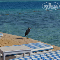 фото из отзыва ID 648783