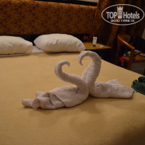 фото из отзыва ID 648783