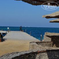 фото из отзыва ID 648783