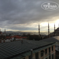 фото из отзыва ID 649193