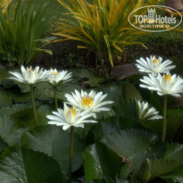фото из отзыва ID 649269