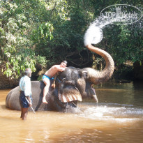 фото из отзыва ID 649563