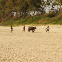 фото из отзыва ID 649563