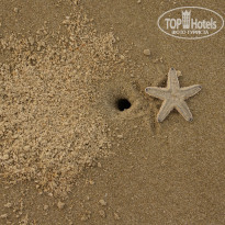 фото из отзыва ID 649563