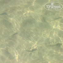 фото из отзыва ID 649575