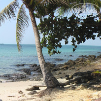 фото из отзыва ID 649575