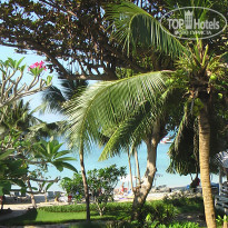 фото из отзыва ID 649575