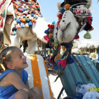 фото из отзыва ID 649689