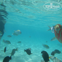 фото из отзыва ID 649733