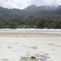 фото из отзыва ID 649841